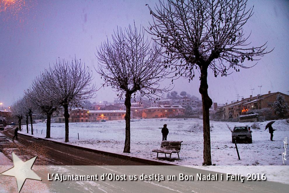 L'Ajuntament d'Olost us desitja un feliç any 2016