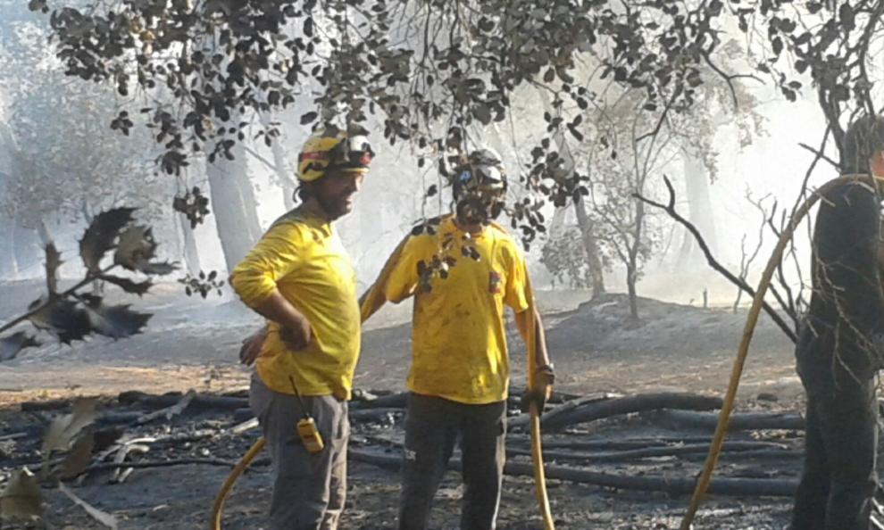 Nota d'agraïment sobre l'incendi declarat ahir a Sant Feliu Sasserra