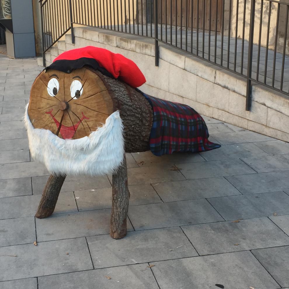 Ja ha arribat el Tió a la Plaça d'Olost