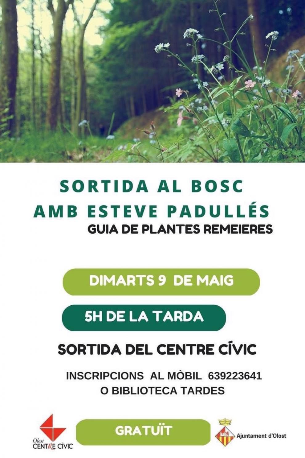 Sortida al bosc amb Esteve Padullés, guia de plantes remeieres