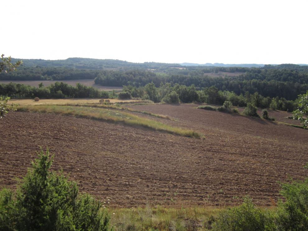 Reunió per la millora i el control en la gestió forestal del municipi