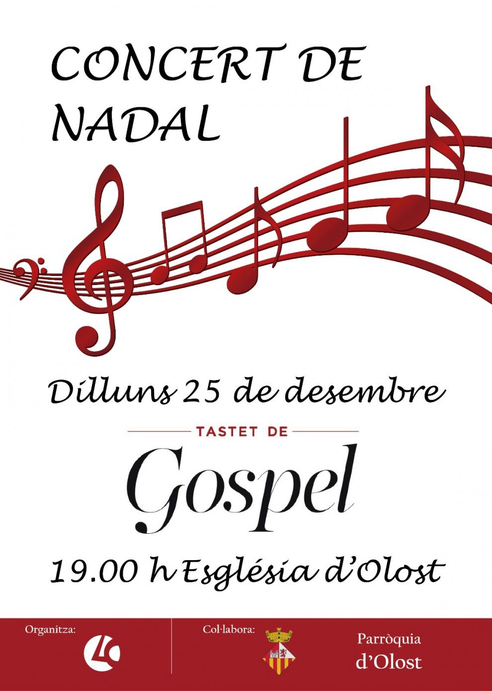 Concert de Nadal a Olost