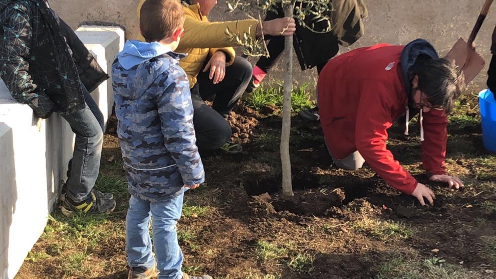 El grup de catequesi va plantar l'olivera dels desitjos a la nova placeta de la cruïlla del C/ Sant Adjutori