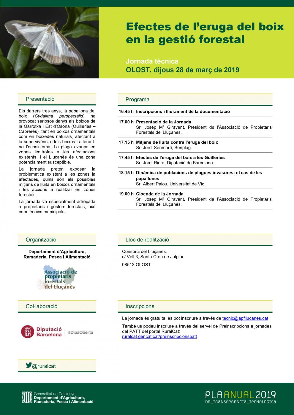 Els efectes de l'oruga del boix a la gestió forestal