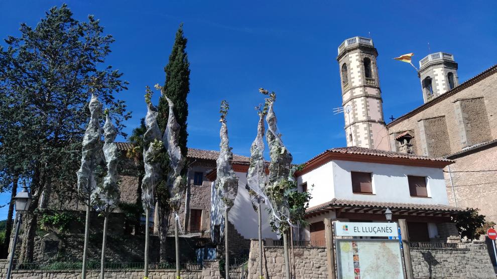 Plantada d'arbres al Parc de la República