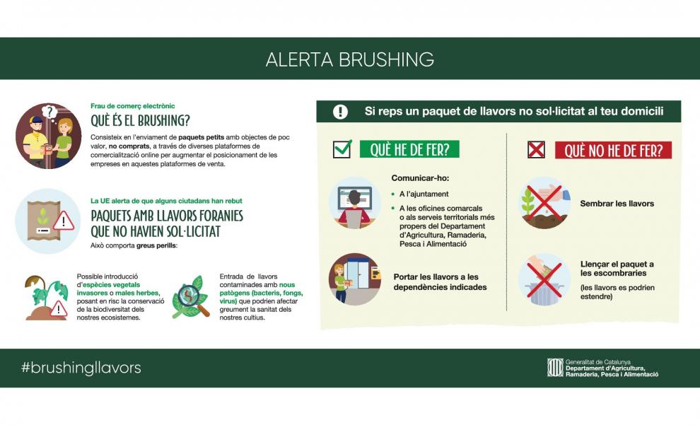 Avís d'un nou frau on_line: El Brushing