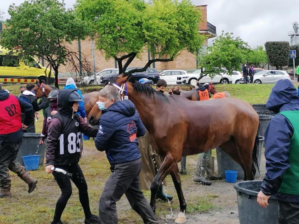 Olost acull el III Raid hípic internacional d'Olost - Lluçanès