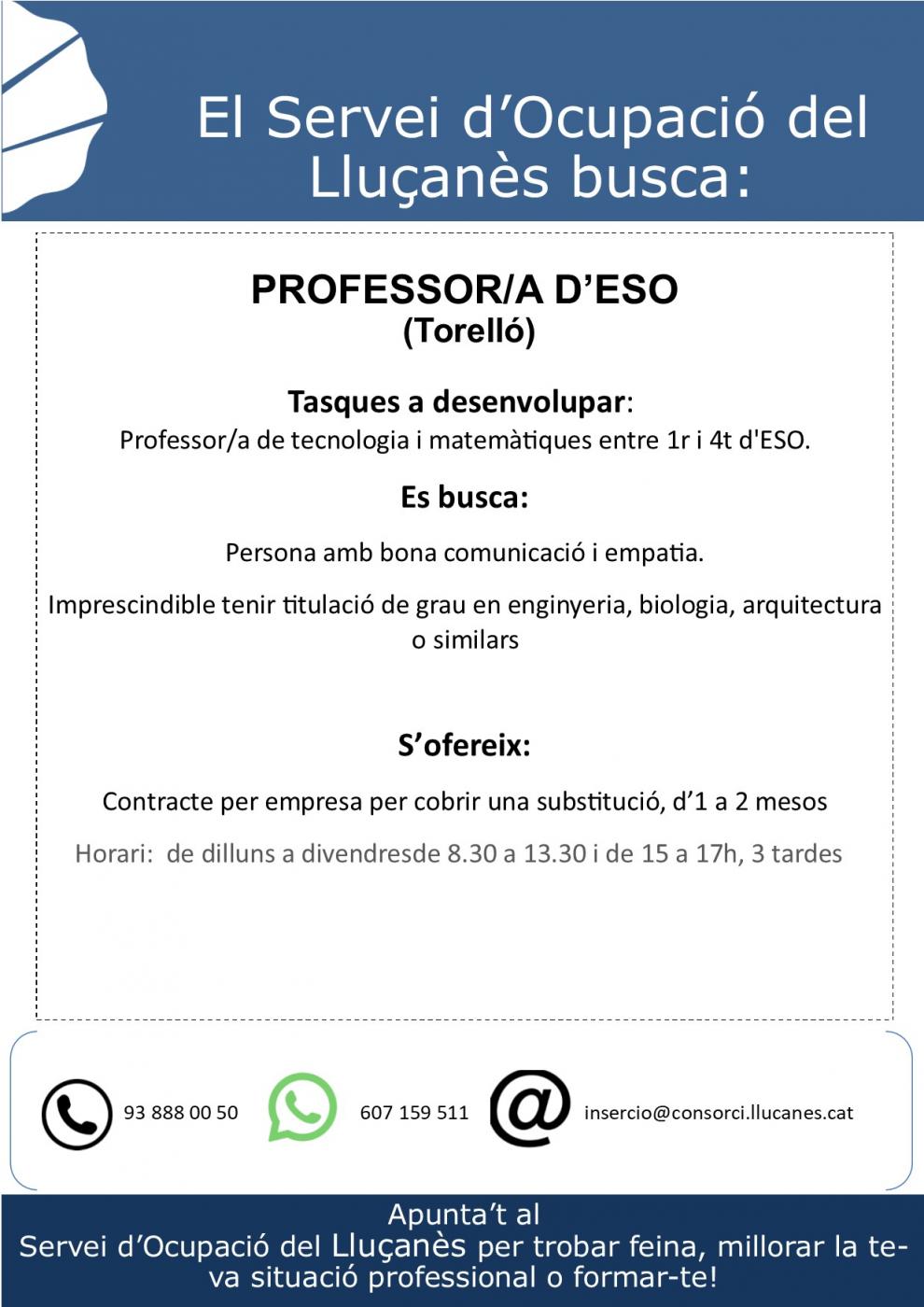 OFERTA DE FEINA: Professor d'ESO (Torelló)