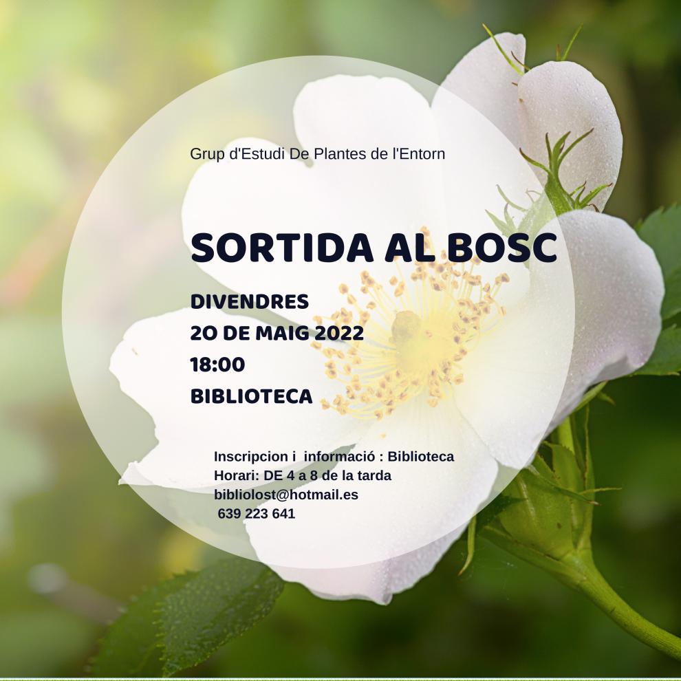 Sortida al bosc