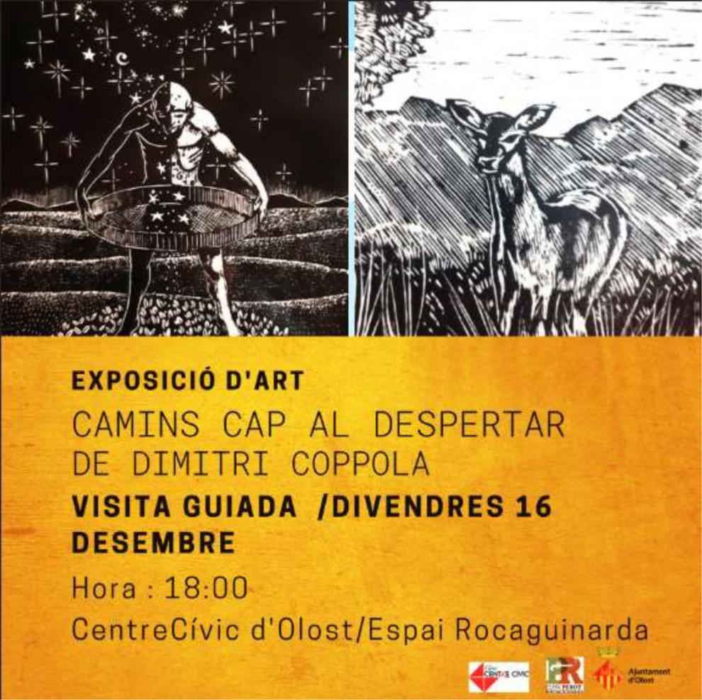 Visita guiada a l'exposició de Dimitri Coppola
