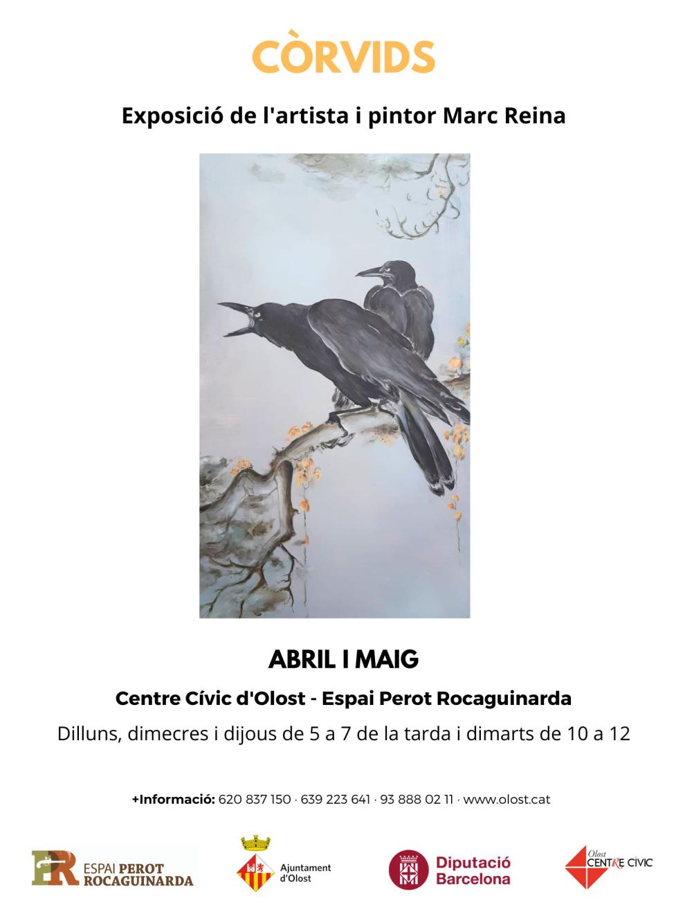 Entrevista a l'artista Marc Reina, que exposa a Olost